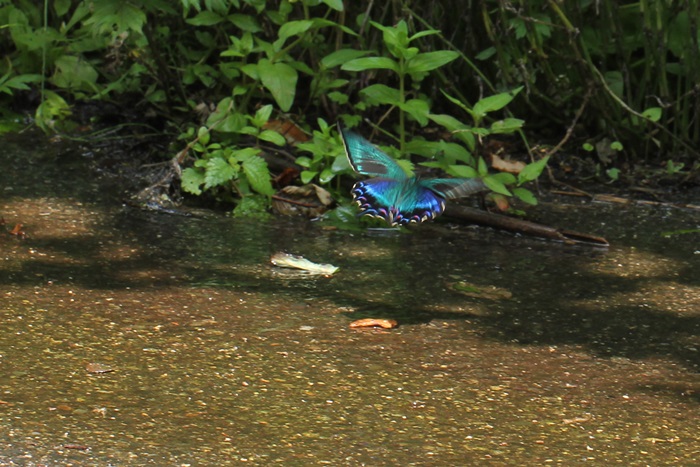 b0088772_1929666.jpg
