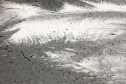 e0203477_10295883.jpg