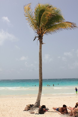 e0203477_10334536.jpg