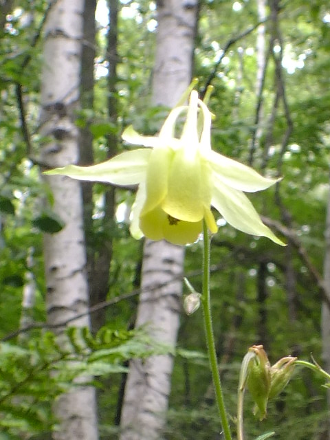 e0145782_13553453.jpg