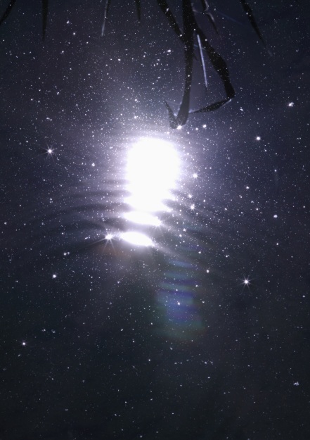 f0350585_14281280.jpg
