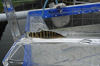 e0066586_71871.jpg