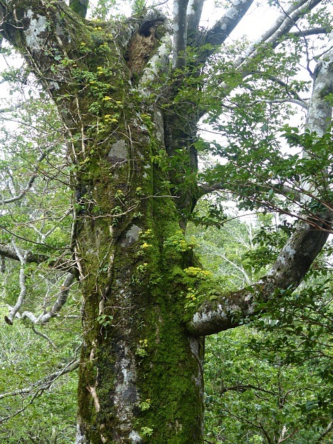 f0357487_23322454.jpg