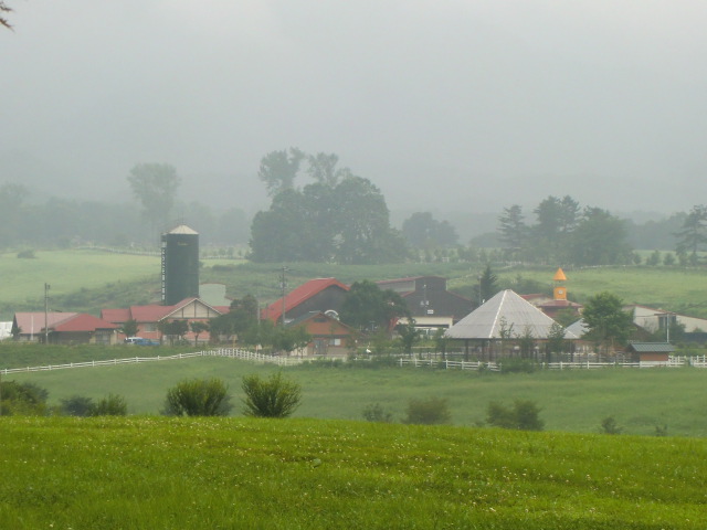 b0044296_1061736.jpg