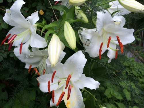 f0201297_23355635.jpg