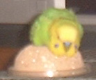 c0011300_21321785.jpg