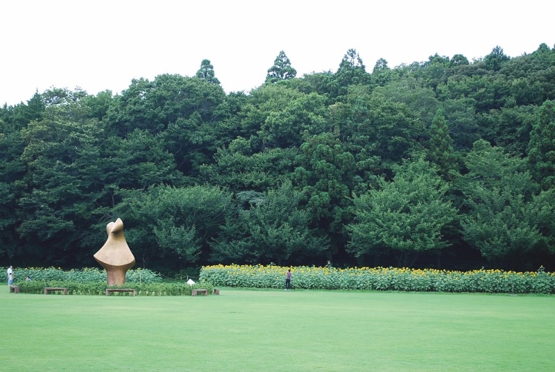 e0025300_11464441.jpg