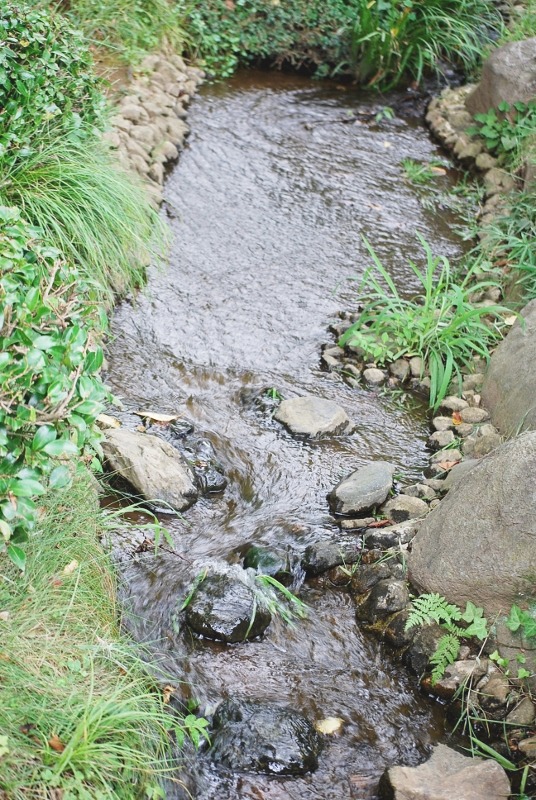e0025300_12141710.jpg