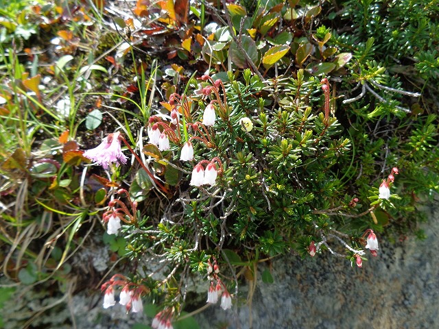 b0326303_00530085.jpg