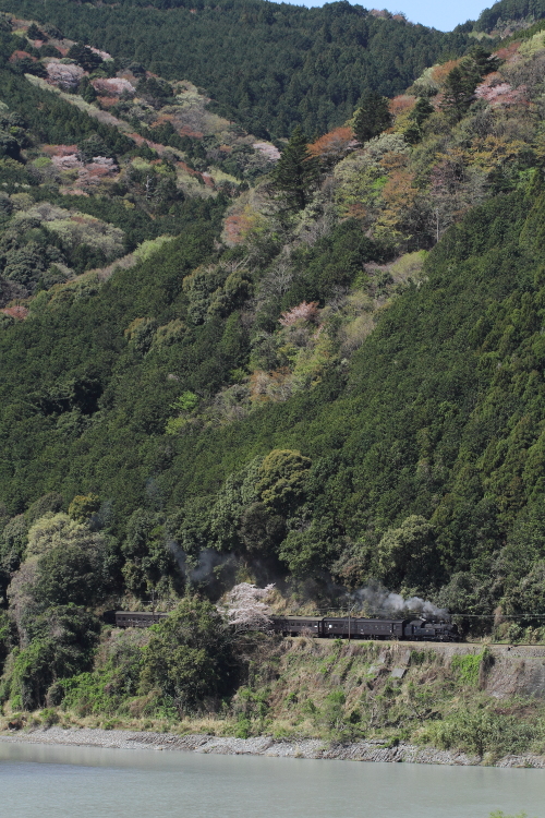 b0190710_23421010.jpg