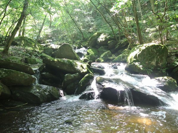 f0006510_16245327.jpg