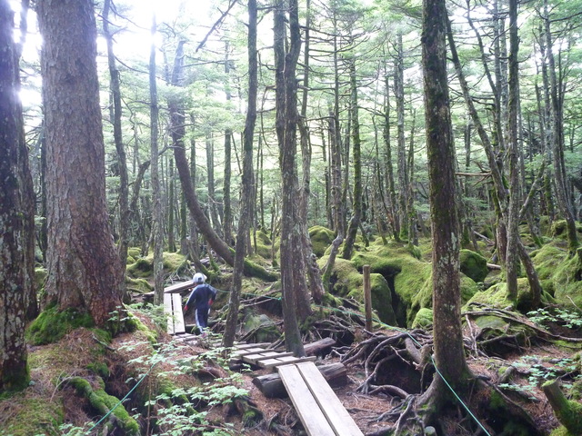 f0225414_23553742.jpg