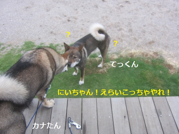 f0143123_20442295.jpg