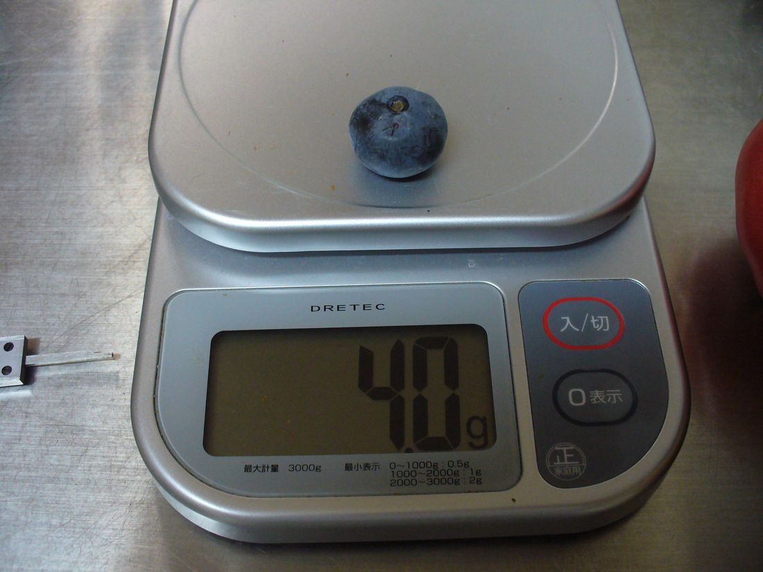 f0346527_2314349.jpg