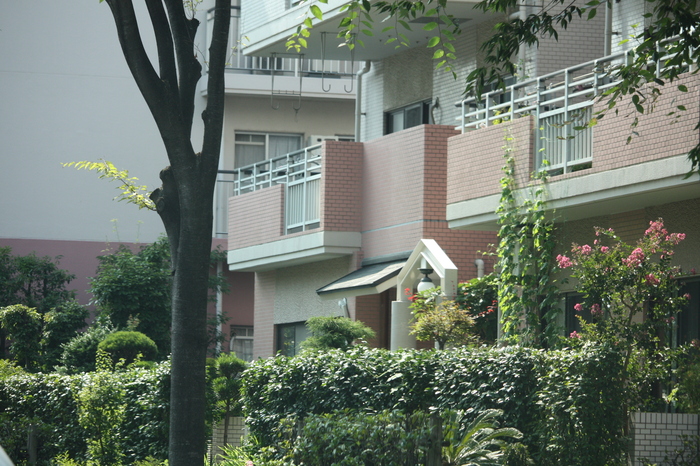 a0214329_8275122.jpg