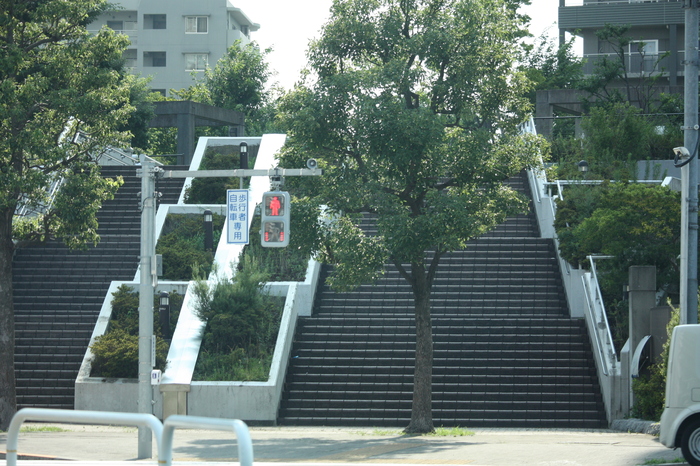 a0214329_8295221.jpg