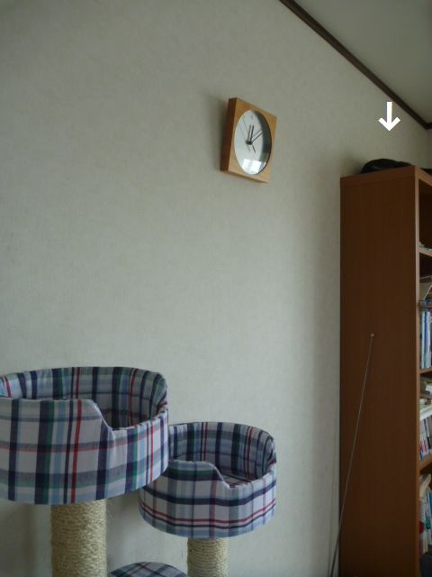 e0142430_7561694.jpg