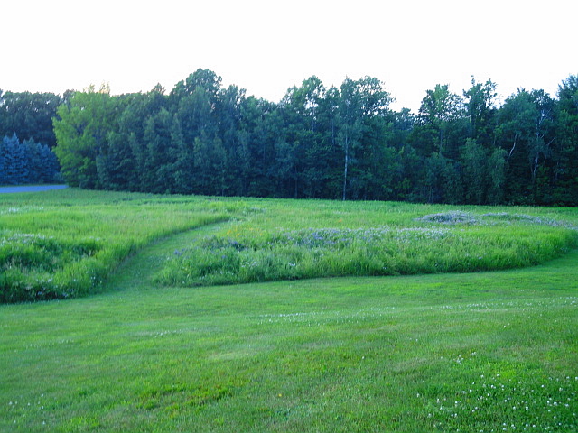 a0224537_5223822.jpg
