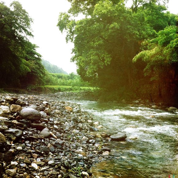 c0312349_11512884.jpg