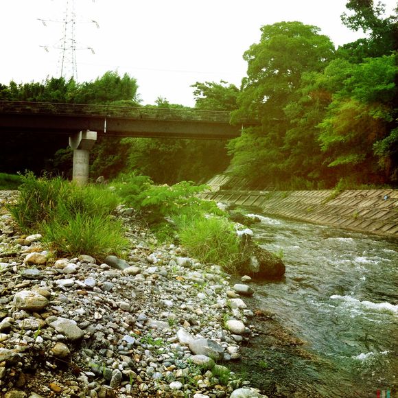 c0312349_12202834.jpg
