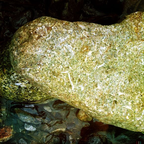c0312349_1295742.jpg