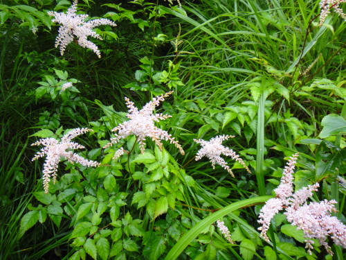 c0179351_20425750.jpg