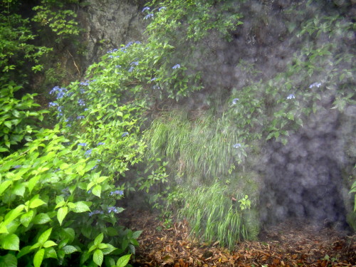 c0179351_20445449.jpg