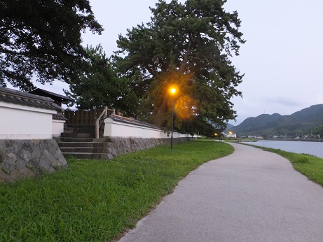 f0113862_20563439.jpg