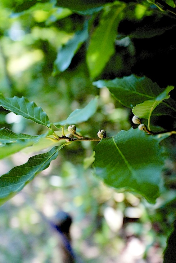 f0134963_21251583.jpg