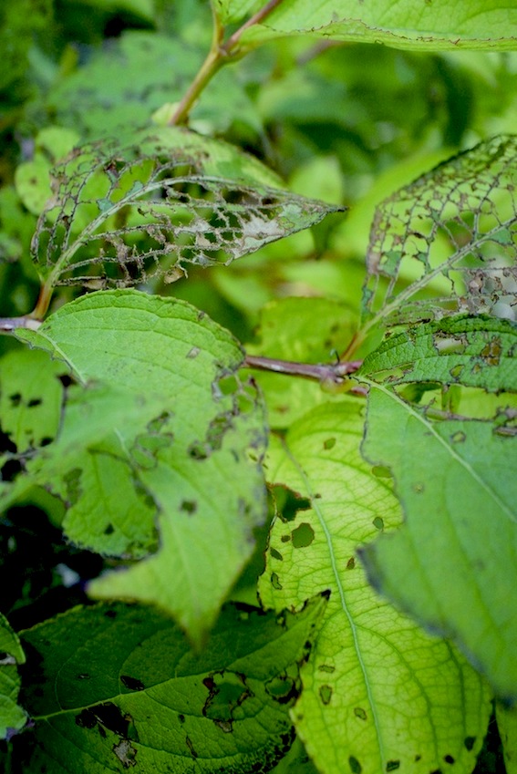 f0134963_21435056.jpg