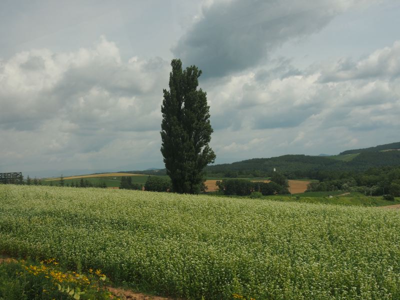 c0183777_205298.jpg