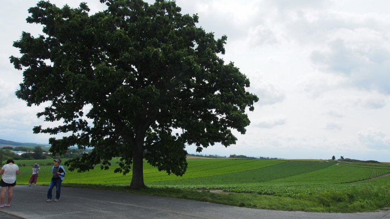 c0183777_2054292.jpg