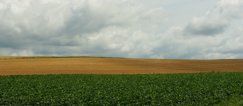 c0183777_2062742.jpg