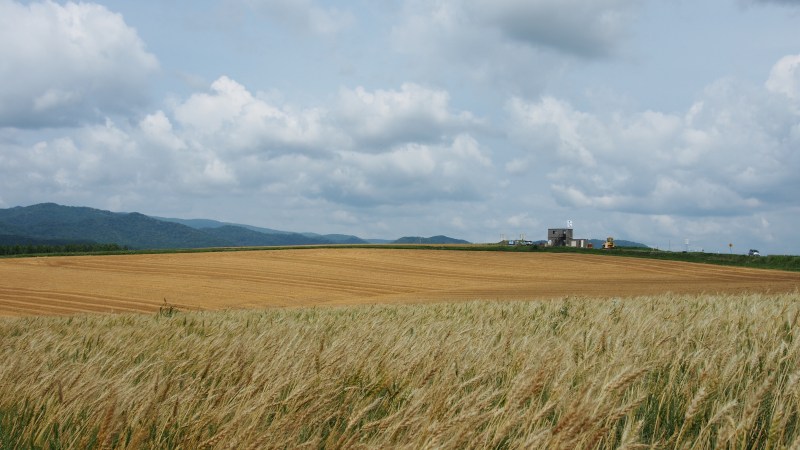 c0183777_2072418.jpg