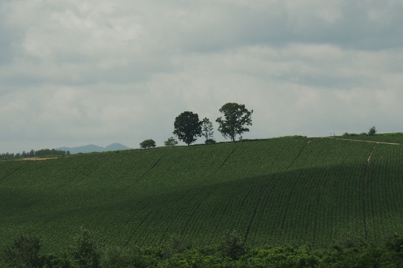 c0183777_208373.jpg