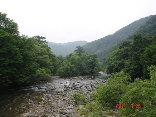 d0165378_1324449.jpg