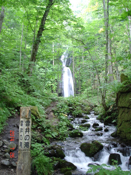 d0165378_13272257.jpg