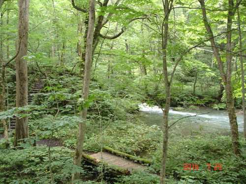 d0165378_13293651.jpg