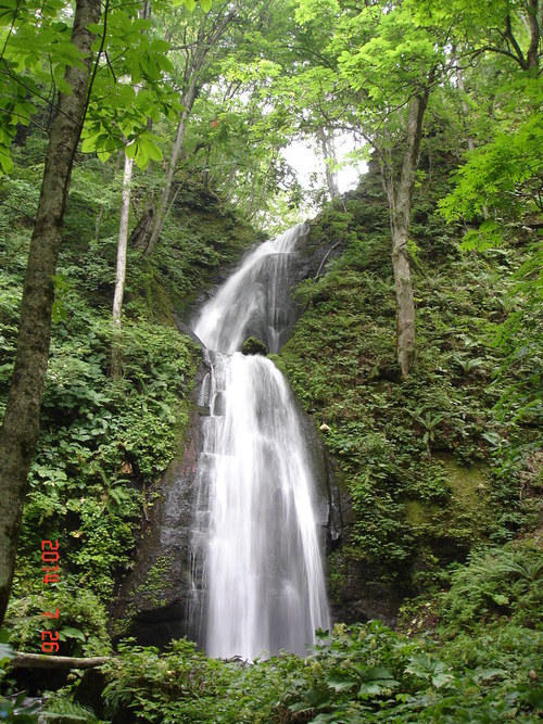 d0165378_1329688.jpg