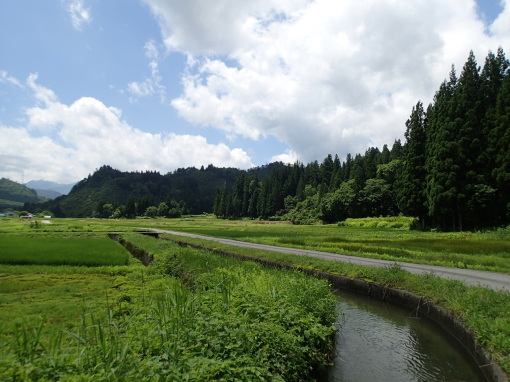 a0279883_13575649.jpg