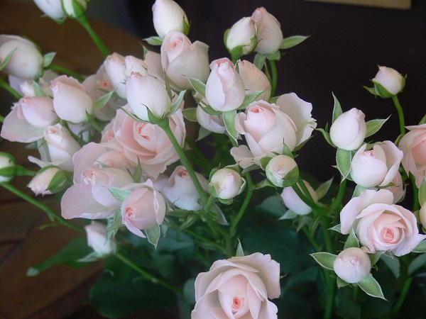 e0140986_10371980.jpg
