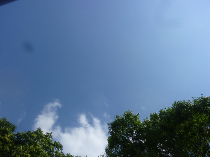 d0333091_1521984.jpg