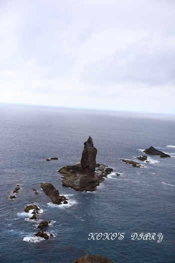 e0059896_21524538.jpg