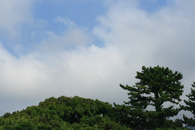 f0083400_23551161.jpg