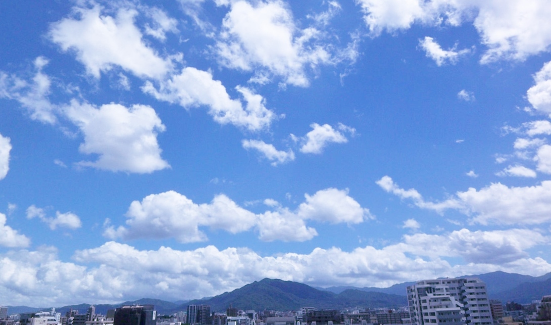 b0288301_231292.jpg