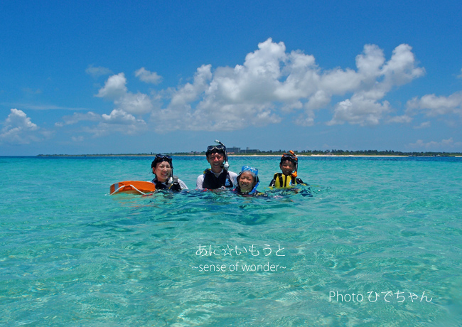 a0112402_813443.jpg