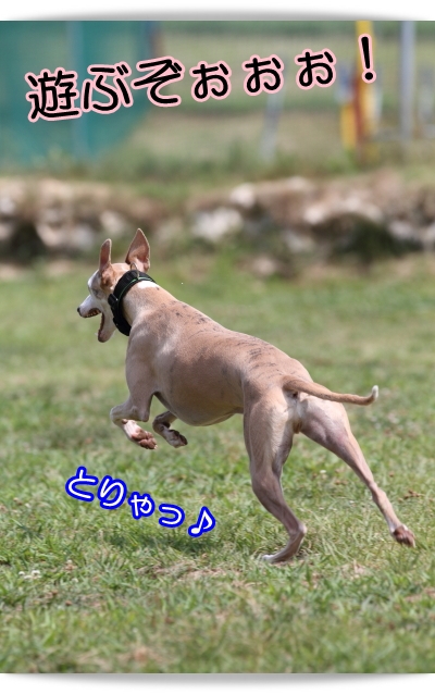e0100007_8361423.jpg