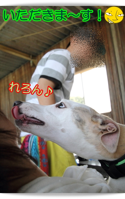 e0100007_8374649.jpg