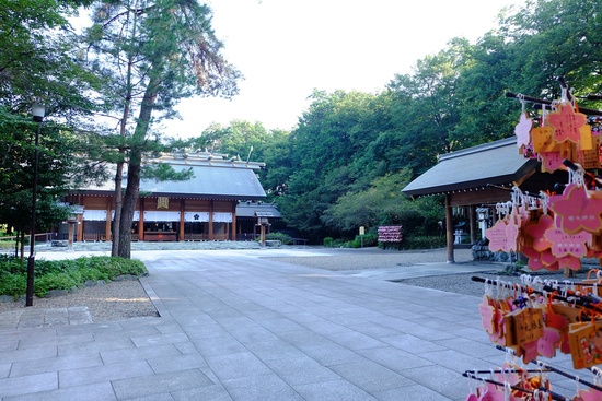 f0113108_855949.jpg