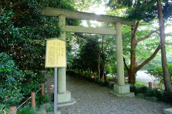 f0113108_91742.jpg
